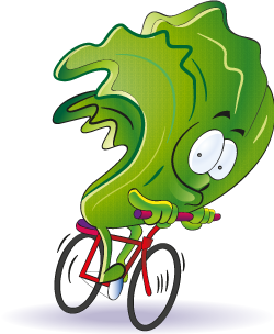 Juego de lechuga