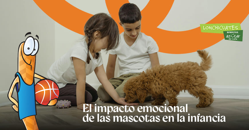 Lonchicuates imagen post - El impacto emocional de las mascotas en ...